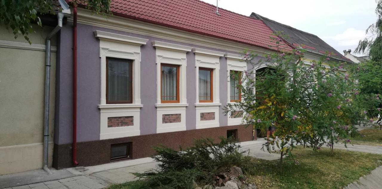 Hărman Casa De Vacanta Ayan מראה חיצוני תמונה